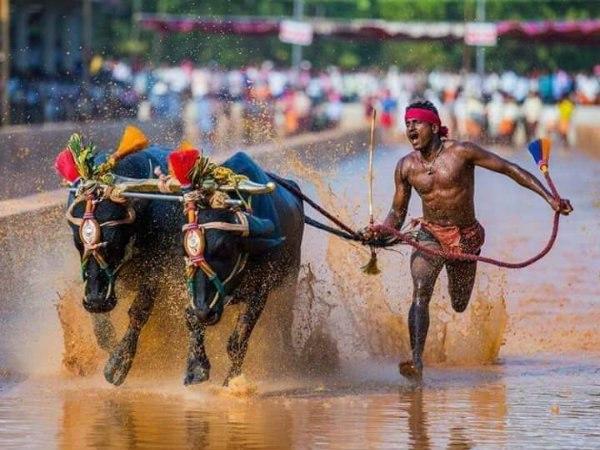 তোলপাড় সোশ্যাল মিডিয়া