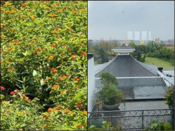 প্রকৃতির কোলে সময় কাটাচ্ছেন সাক্ষী
