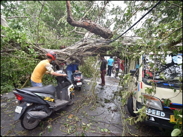 আম্ফানে ময়দানের ক্ষতি