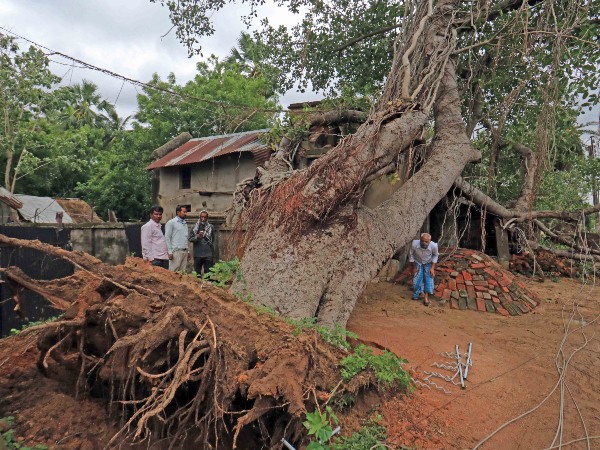 ফ্যানেদের কাছে আবদেন