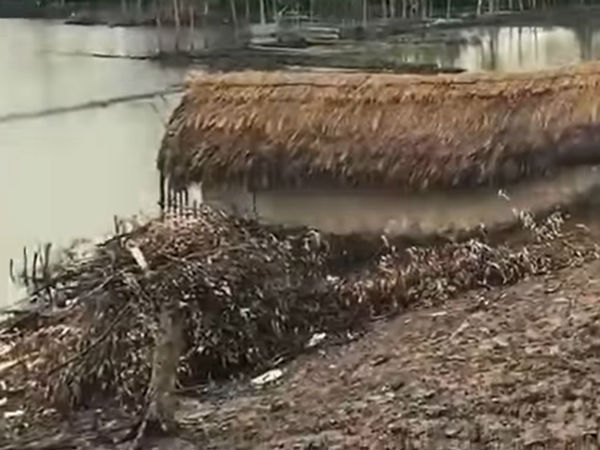 ভিডিও পোস্ট শিল্টনের
