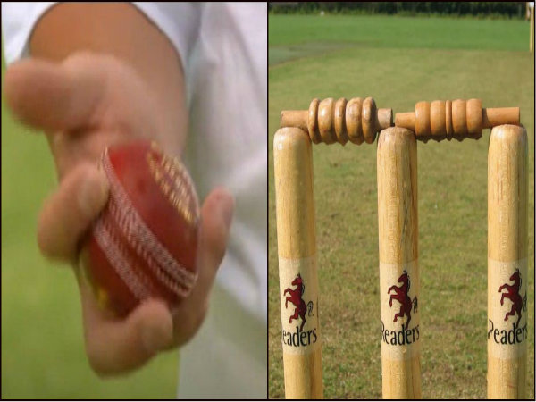 এক ক্রিকেটভক্তের কাহিনি