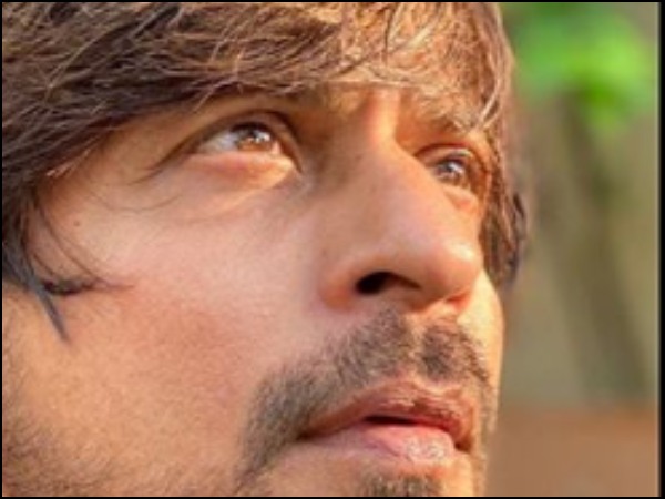 মীর ফাউন্ডেশনের সাহায্য