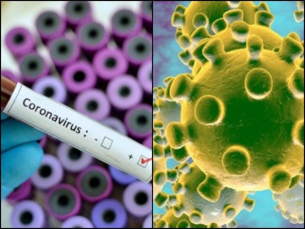 কবে অসুস্থ হন বোথাম