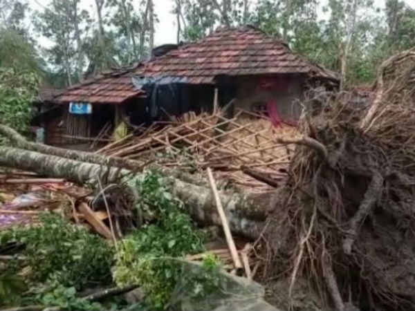 সপ্তাহ শেষে সুন্দরবনে কোচদের সংগঠন