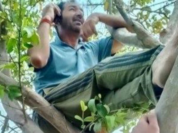 ফোনের টাওয়ার পেতে অনিলকে গাছের উপর উঠতে হয়েছিল